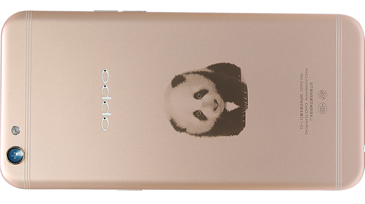 MARS样品照片